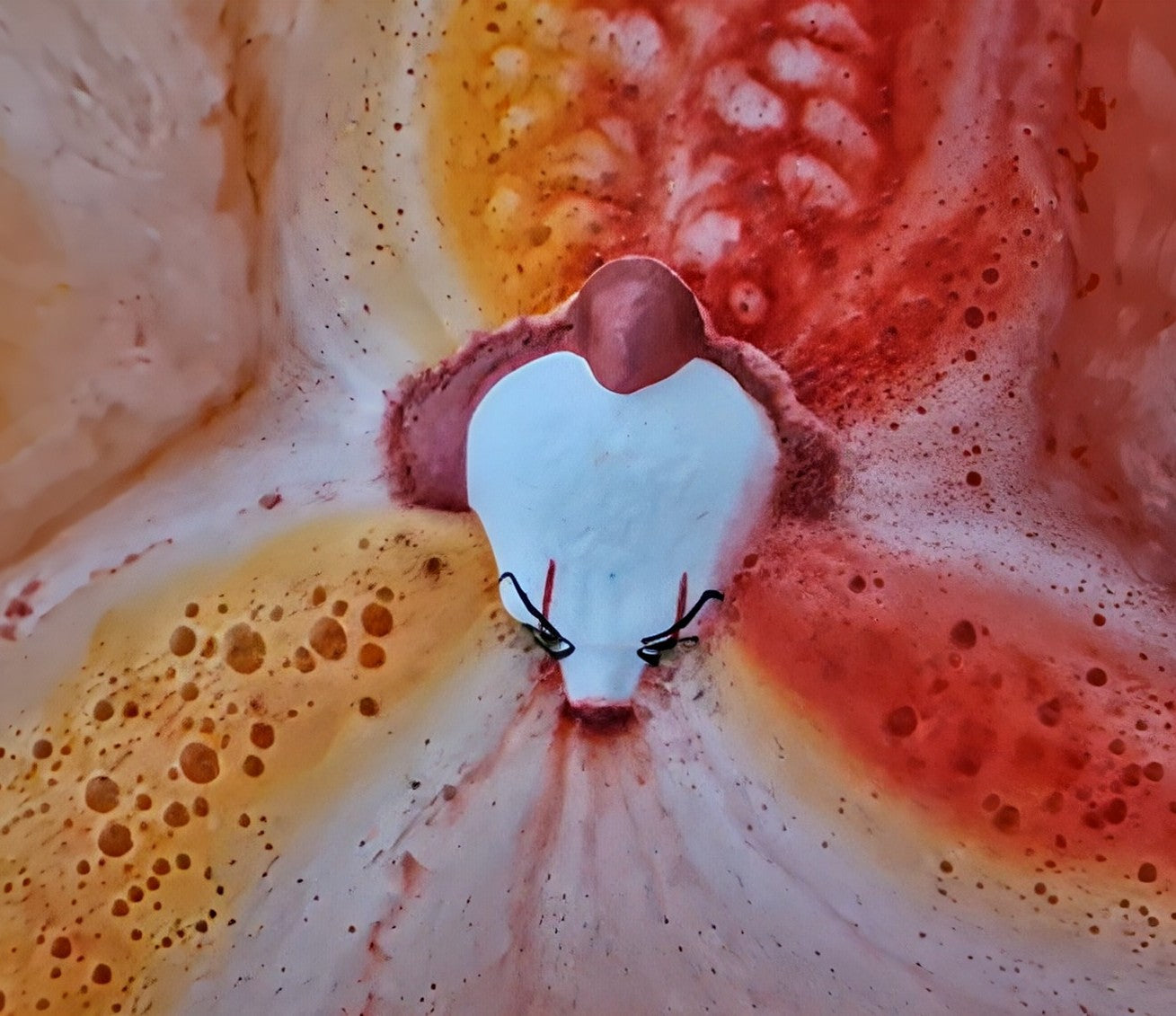Penny Bath Bomb