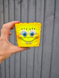 Sponge Bath Bomb
